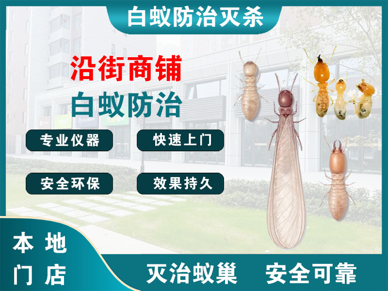 金坛沿街商铺白蚁防治