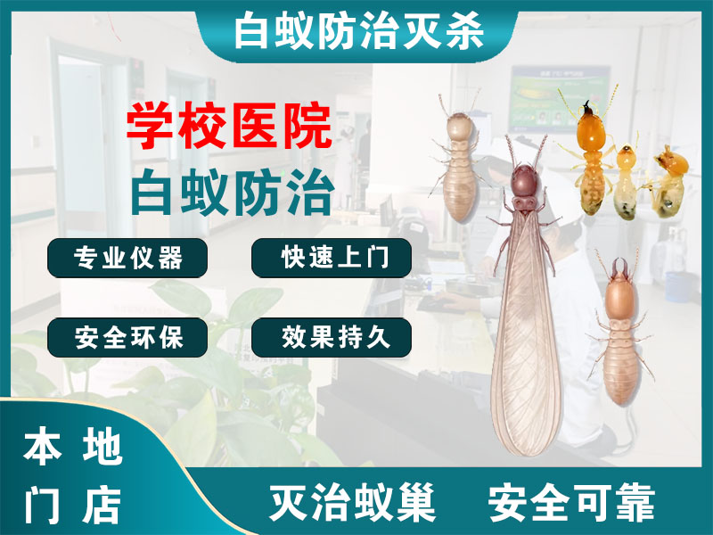 金坛学校医院白蚁防治