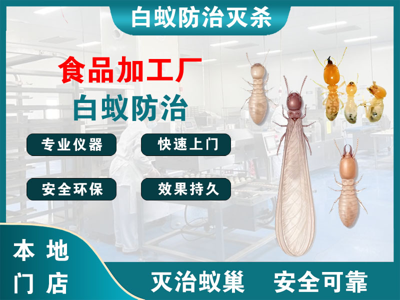 金坛食品加工厂白蚁防治