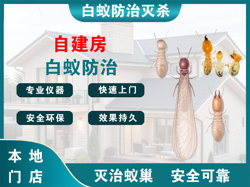 金坛自建房白蚁防治