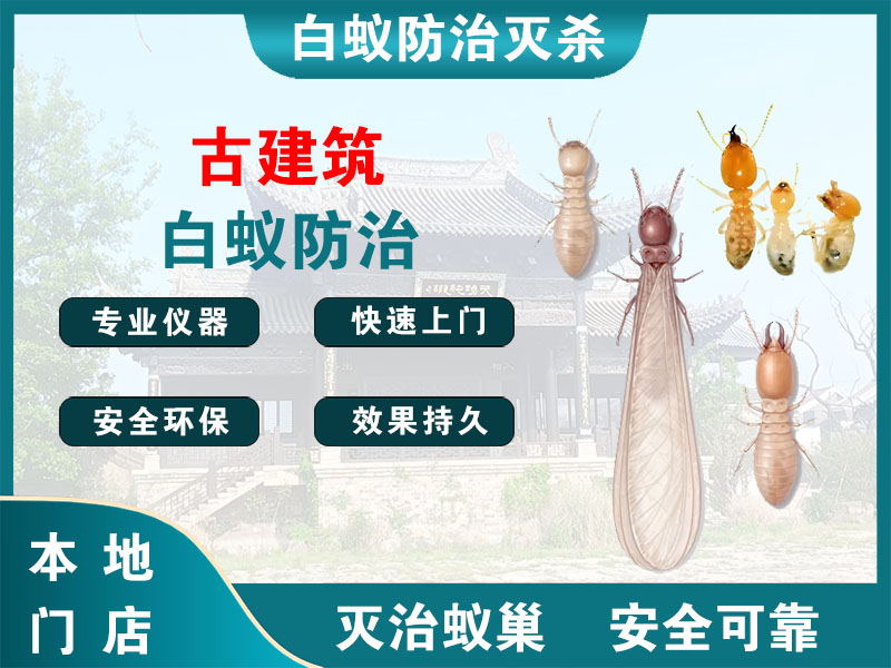金坛古建筑白蚁防治