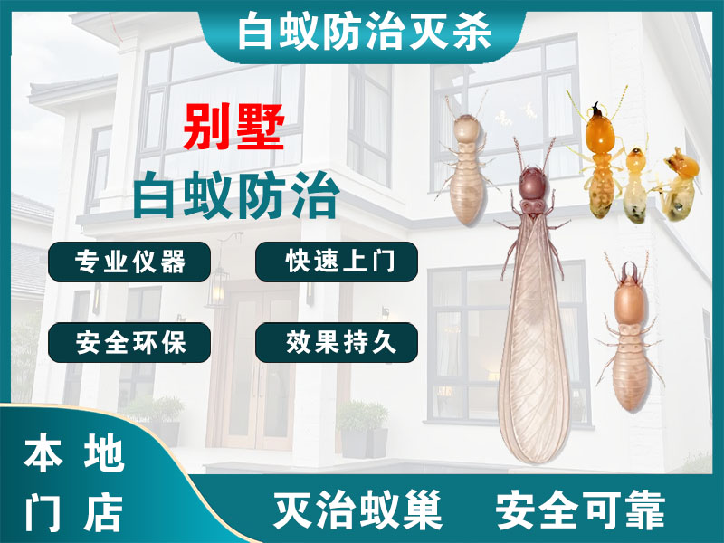 金坛别墅白蚁防治