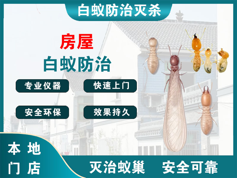 金坛房屋白蚁防治
